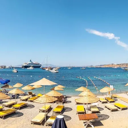 Charming Seafront With Apartamento *